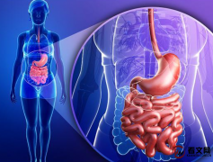 中医是如何使用象思维，来探析“肠胃”功能特征的？