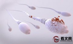 进入女性体内后，没“受精”成功的精子都去哪儿了？