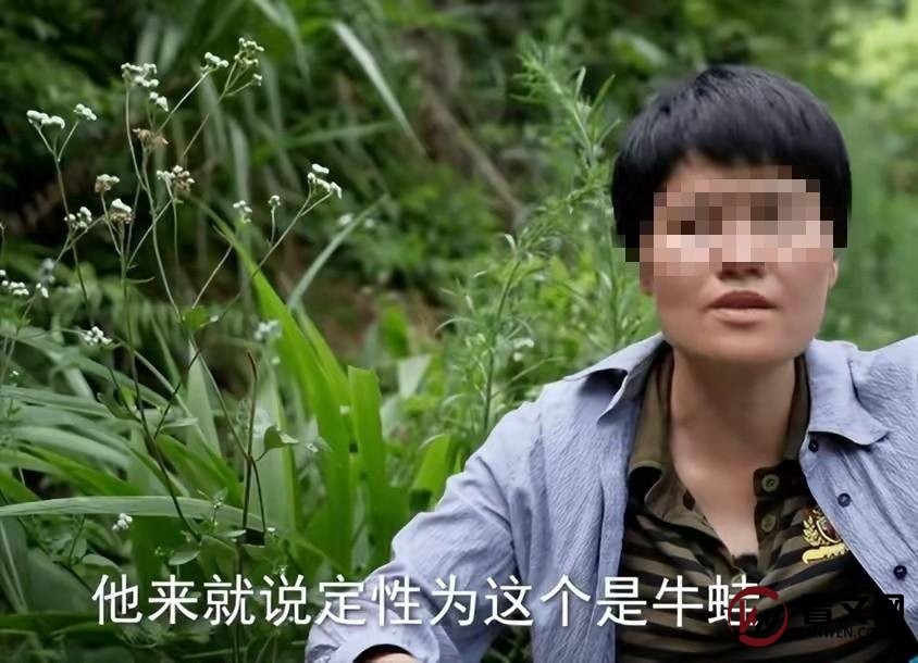 镇长赔钱!误判致农户损失百万,93万尾蛙苗98只猪被无辜消杀!