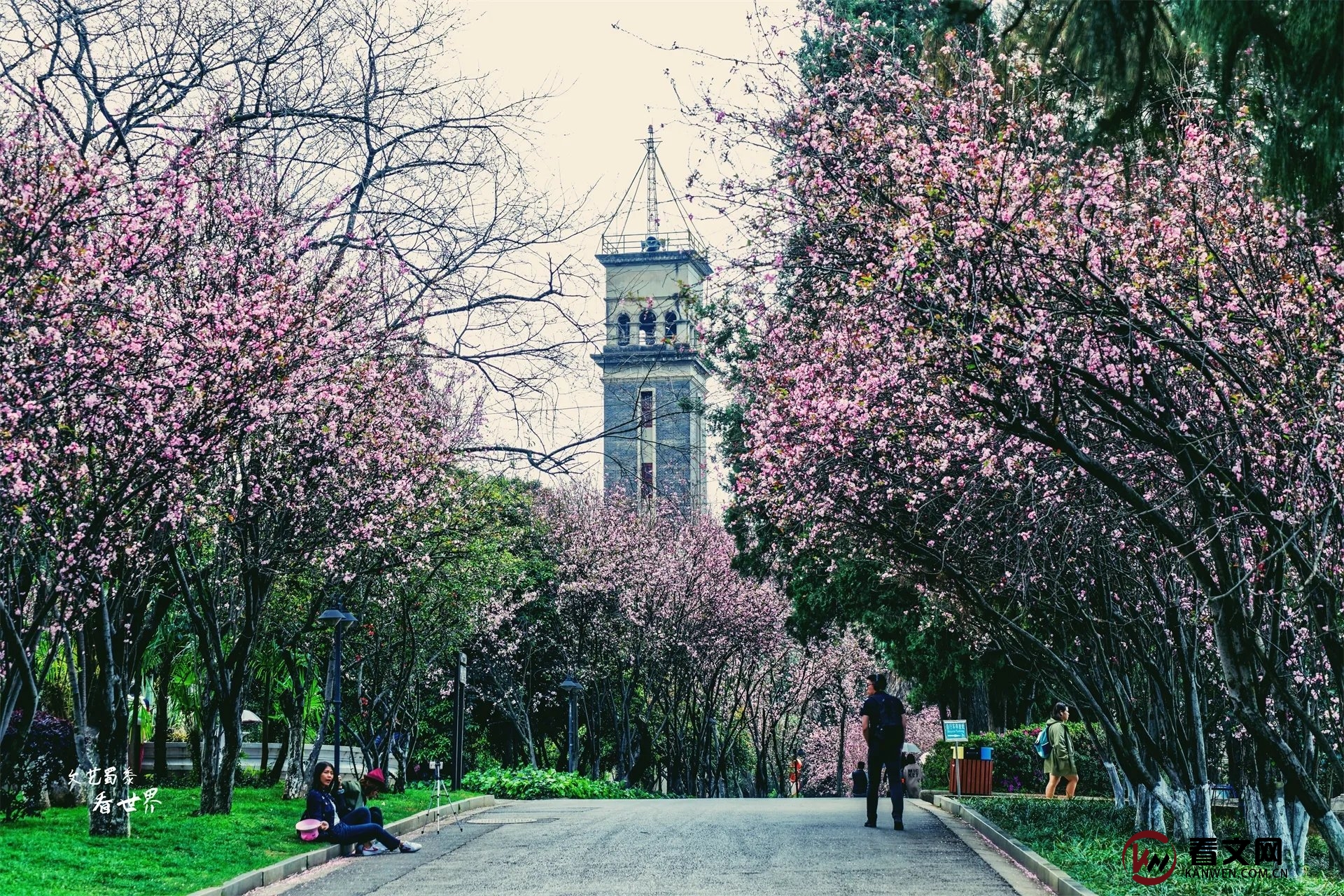 中国10所最美的大学