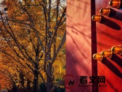 海德格尔《林中路》