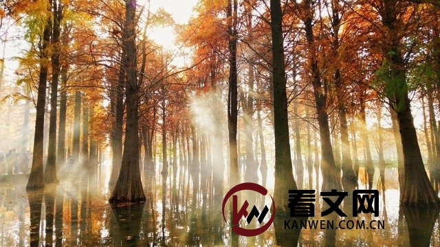 德国哲学家黑格尔著《自然法与普遍法历史》