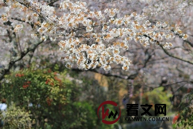 费尔巴哈的《未来哲学原理》
