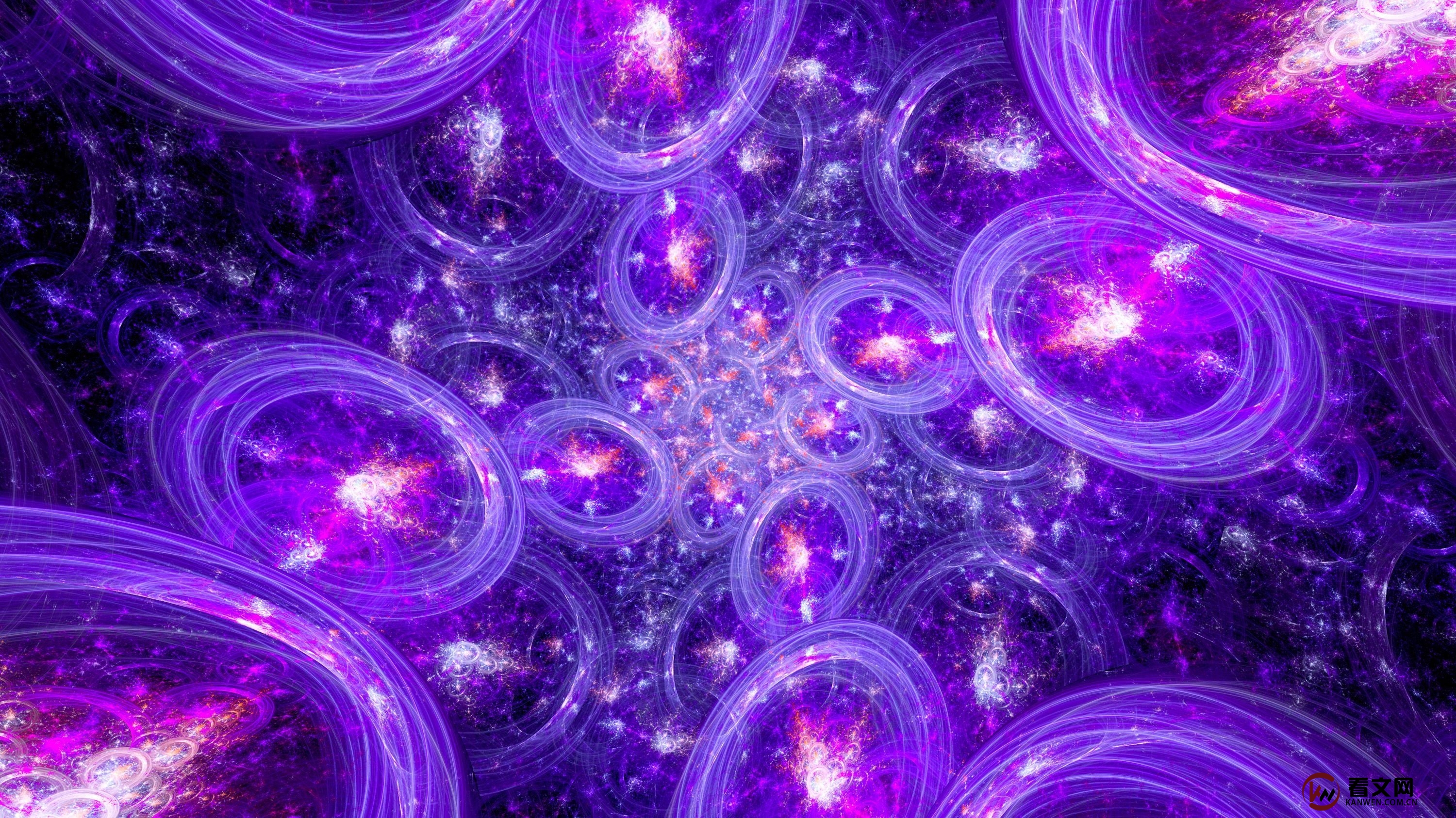 在一个不断扩张的宇宙中,信息的终极命运是什么?