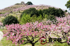 春水映梨花：解读典故与意蕴