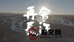 电影《再会长江》的简介梗概、主题影评：生态环境的保护，问题的根源与原因