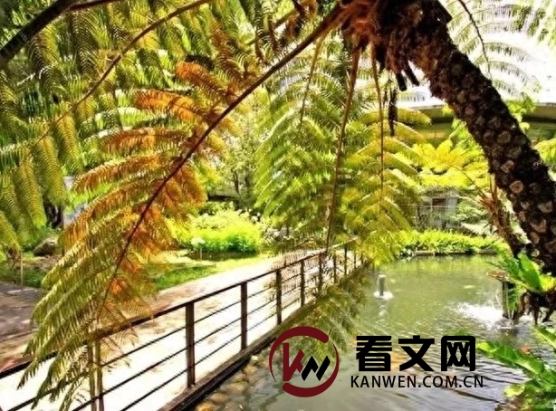 台湾的动植物园与蝴蝶谷
