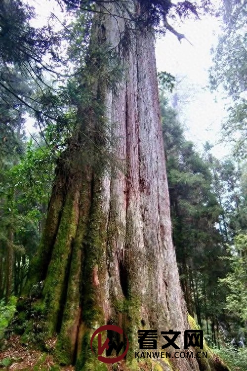 阿里山与日月潭